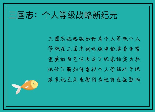 三国志：个人等级战略新纪元